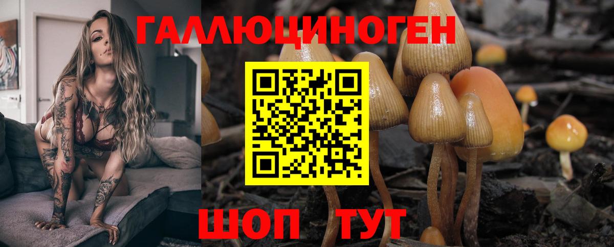 Новоалтайск  Галлюциногенные грибы MAGIC MUSHROOMS  Вход с VPN 